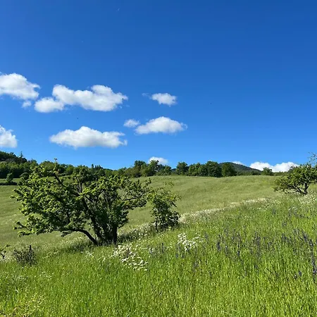 Casa Dei Cuori - Natura, Silenzio, Relax A 550 M Di Quota * Langhirano