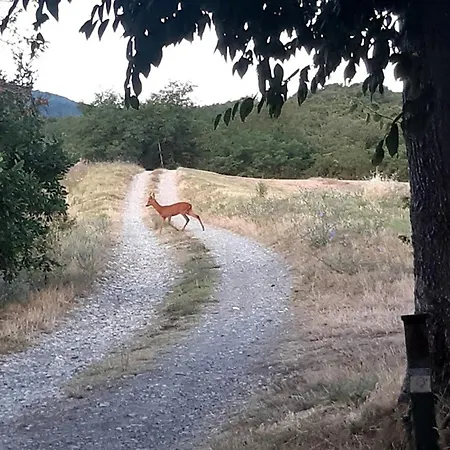 Casa Dei Cuori - Natura, Silenzio, Relax A 550 M Di Quota *