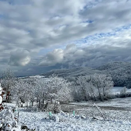 Casa Dei Cuori - Natura, Silenzio, Relax A 550 M Di Quota