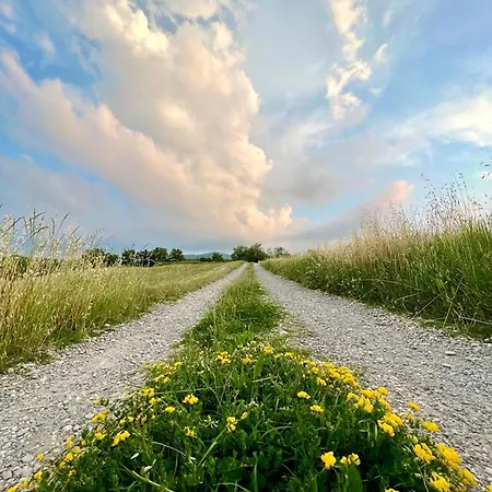 Casa Dei Cuori - Natura, Silenzio, Relax A 550 M Di Quota *